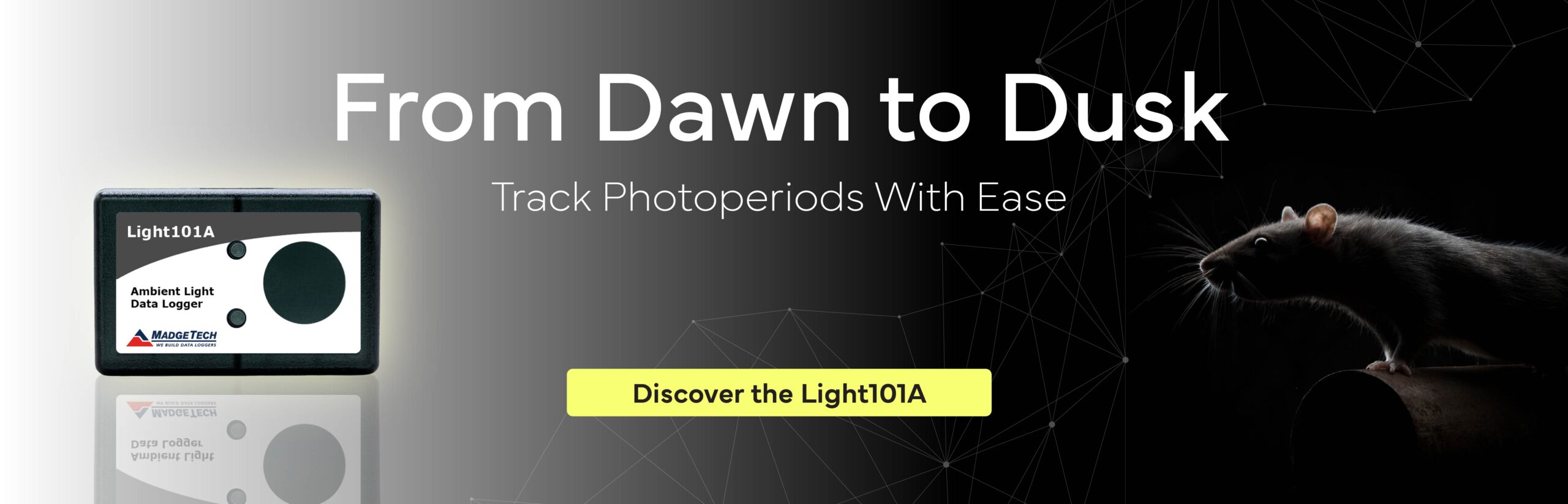 Light101A_HomepageBanner