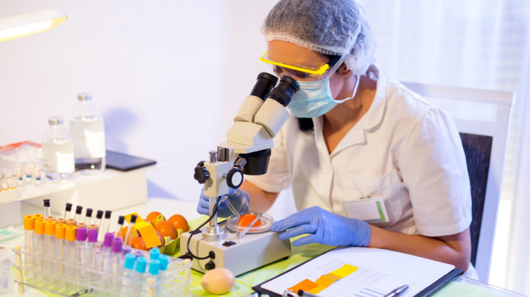 business plan for food testing laboratory