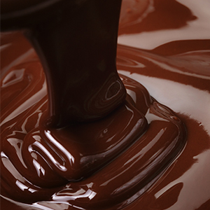 chocolate processors brochure